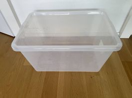 Aufbewahrungsbox mit Deckel