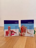 Cartes d'anatomie Prometheus, lot de deux, bon état