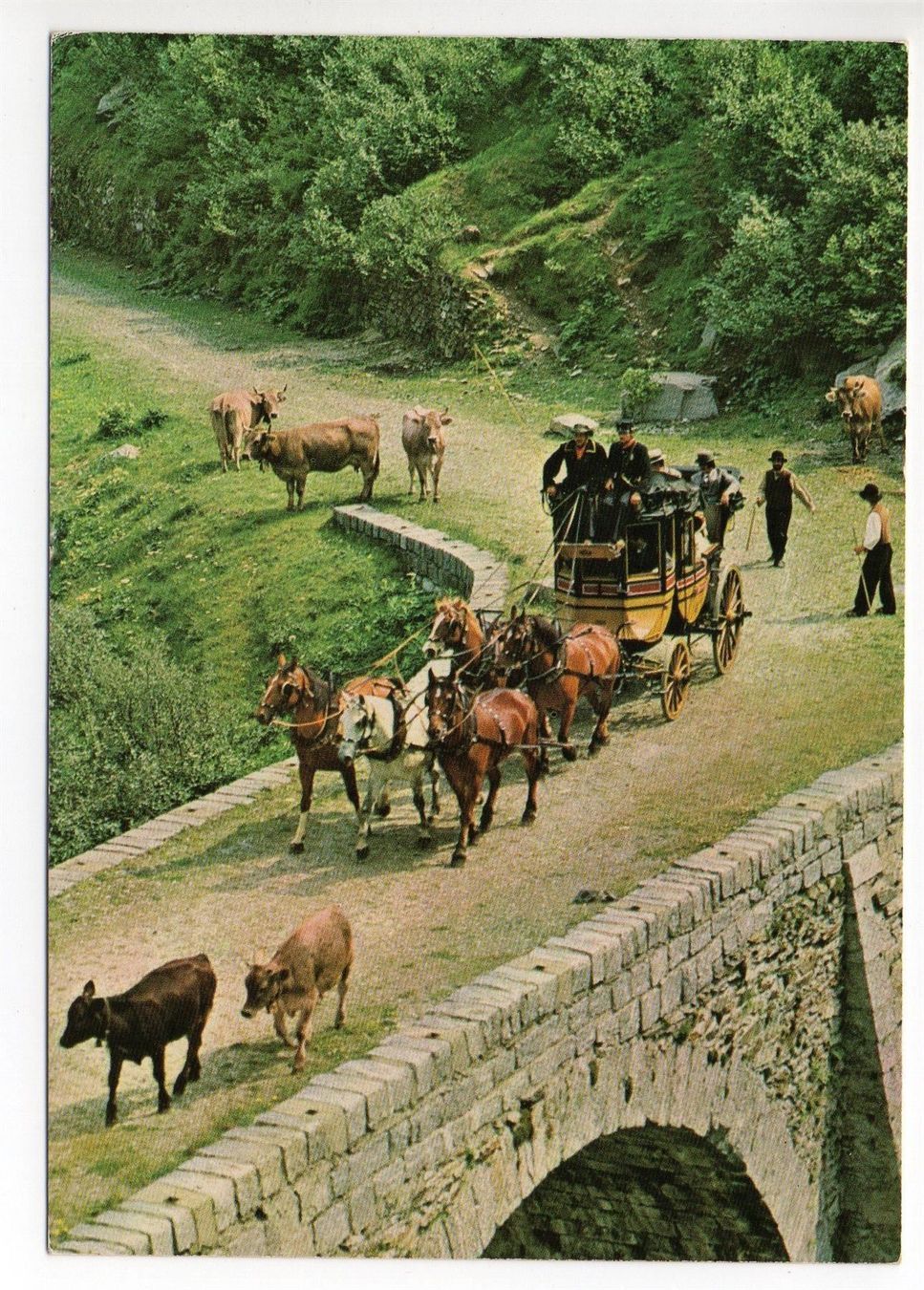 Cartes postales: GOTTHARD POSTKUTSCHE Kühe – D'occasion à Jona par philajona