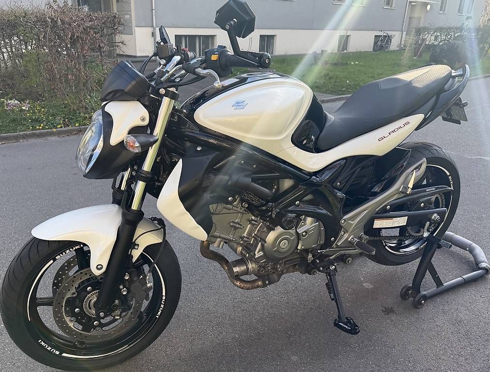 Strada: Suzuki SFV 650 A Gladius – Usato da Dietikon venduto da W.Doctor 2