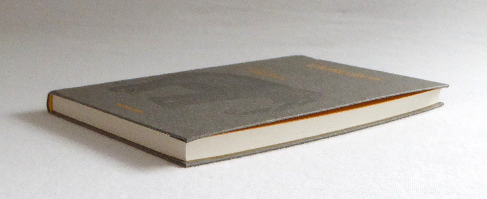 Livres: Elefanten – Neuf avec emballage d'origine à Mauren par Yeelen 1