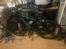 Totem 29er Mountainbike Ride Lite Comfort