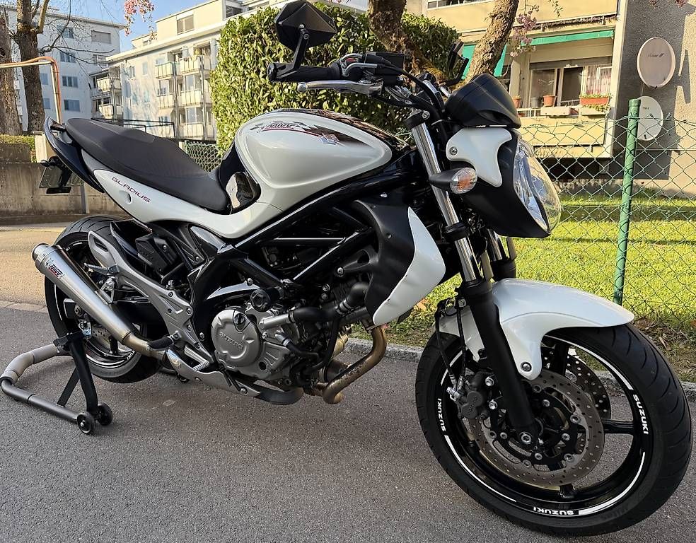 Strada: Suzuki SFV 650 A Gladius – Usato da Dietikon venduto da W.Doctor 3
