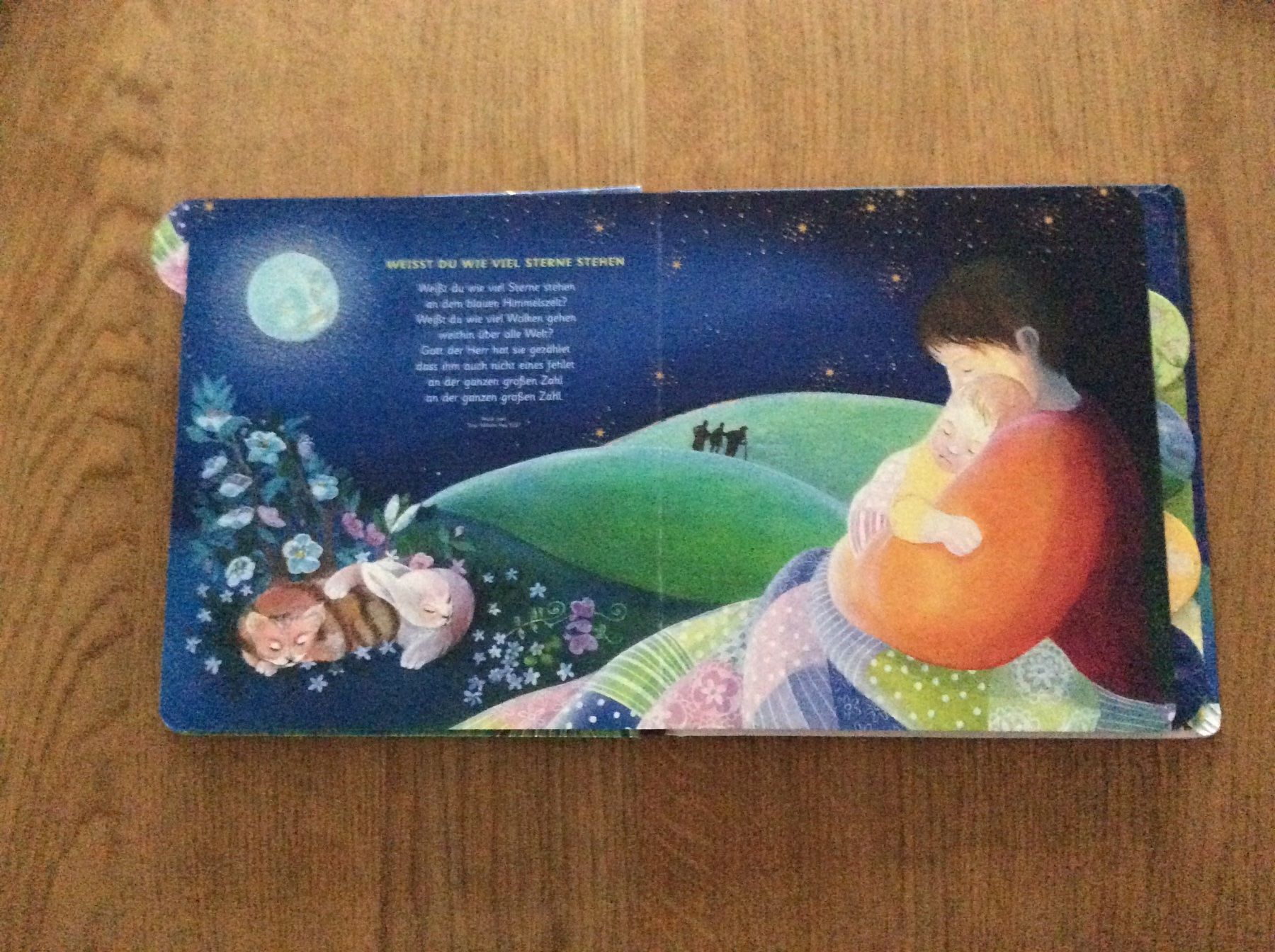 Libri: Meine liebsten Schlaflieder – Usato da Wetzikon ZH venduto da Laube02 2