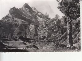 Braunwald 1946