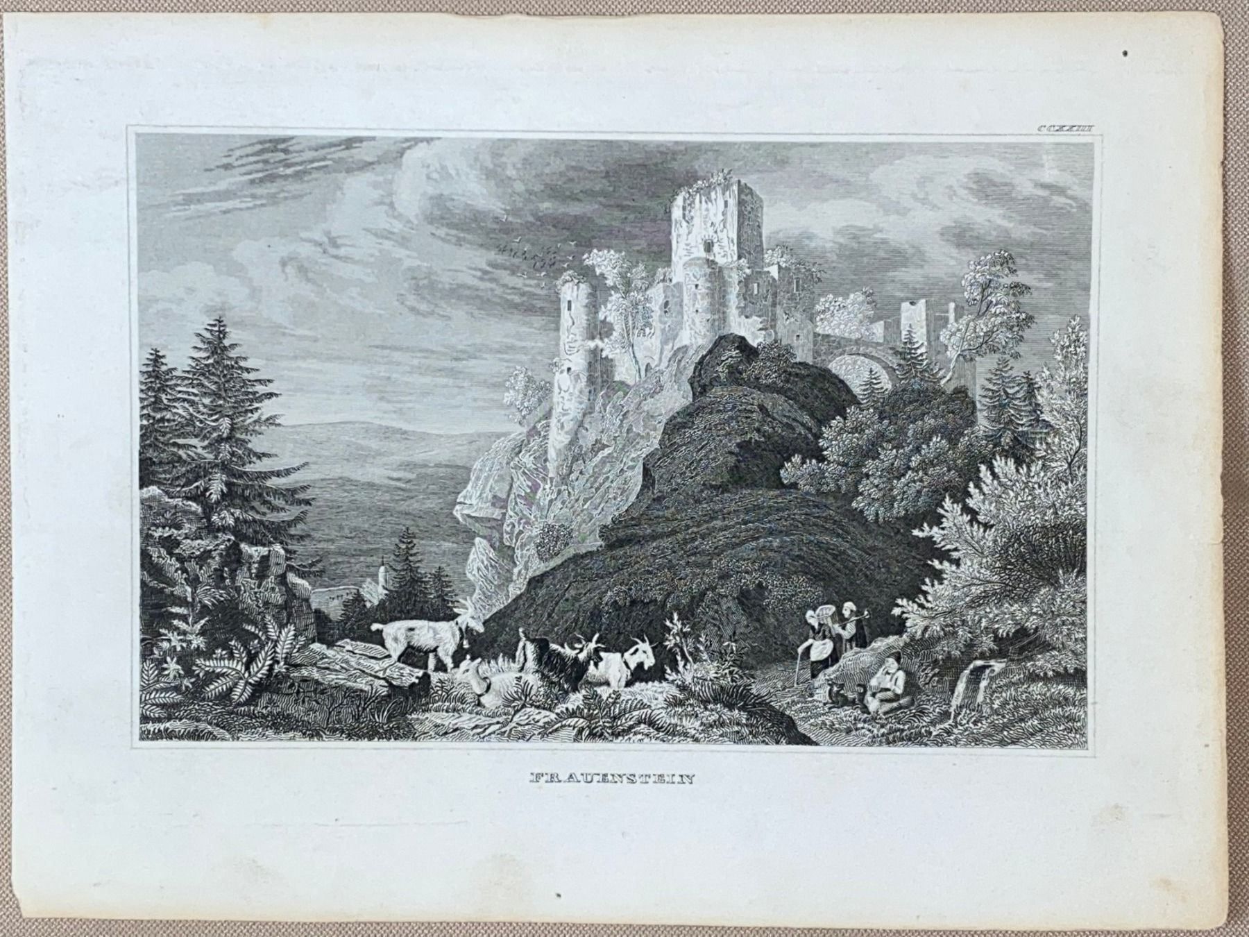 Stiche: Stich antik Frauenstein Schloss – Gebraucht aus Vaduz von Unikate-Markt