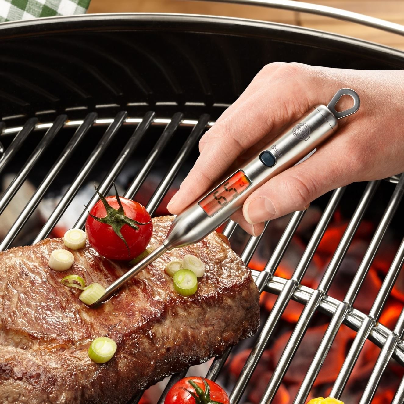 Altro per la casa: Digital-Thermometer BBQ von Gefu – Nuovo e nell'imballaggio originale da Wettingen venduto da kochshop 1