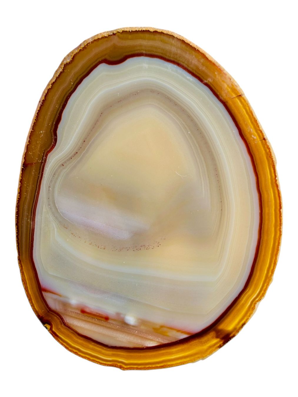 Minerali & Pietre curative: Grande agate naturelle tranche polie – Usato da Morges venduto da vintiques 4