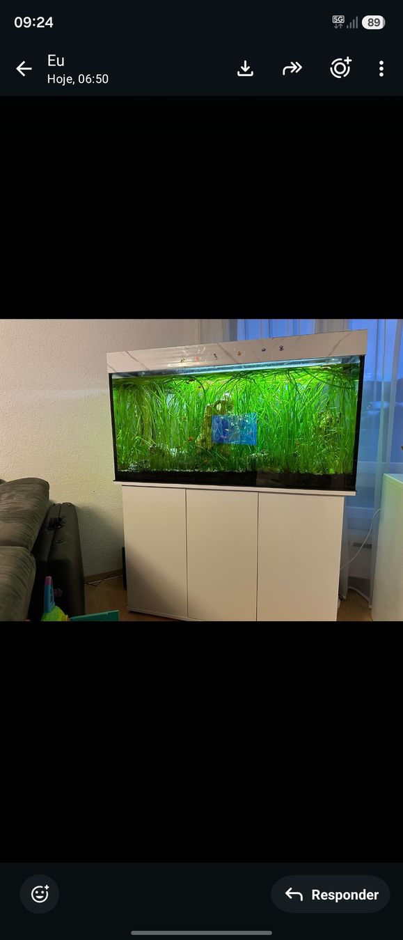 Acquari: aquarium 300 liter  – Usato da Weinfelden venduto da car_lp58