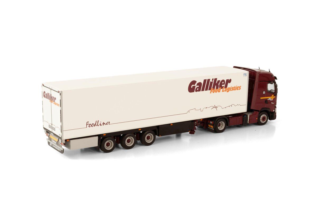 WSI Models Kit di modellismo & Modellini statici: WSI 01-3750 Renault Galliker – Nuovo e nell'imballaggio originale da Dagmersellen venduto da FBM-Bacheli 2