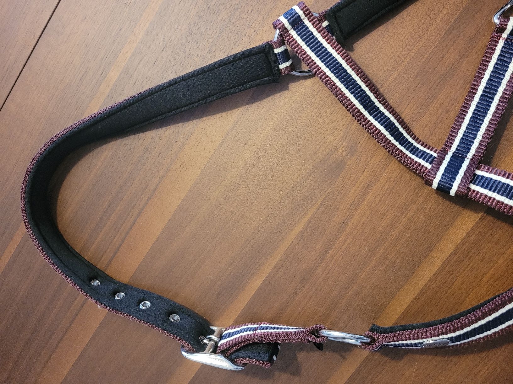 Briglie & Cavezze: Chices Halfter - Grösse Pony - Neuwertig – Nuovo (secondo la descrizione) da Dagmersellen venduto da buc_786y 4