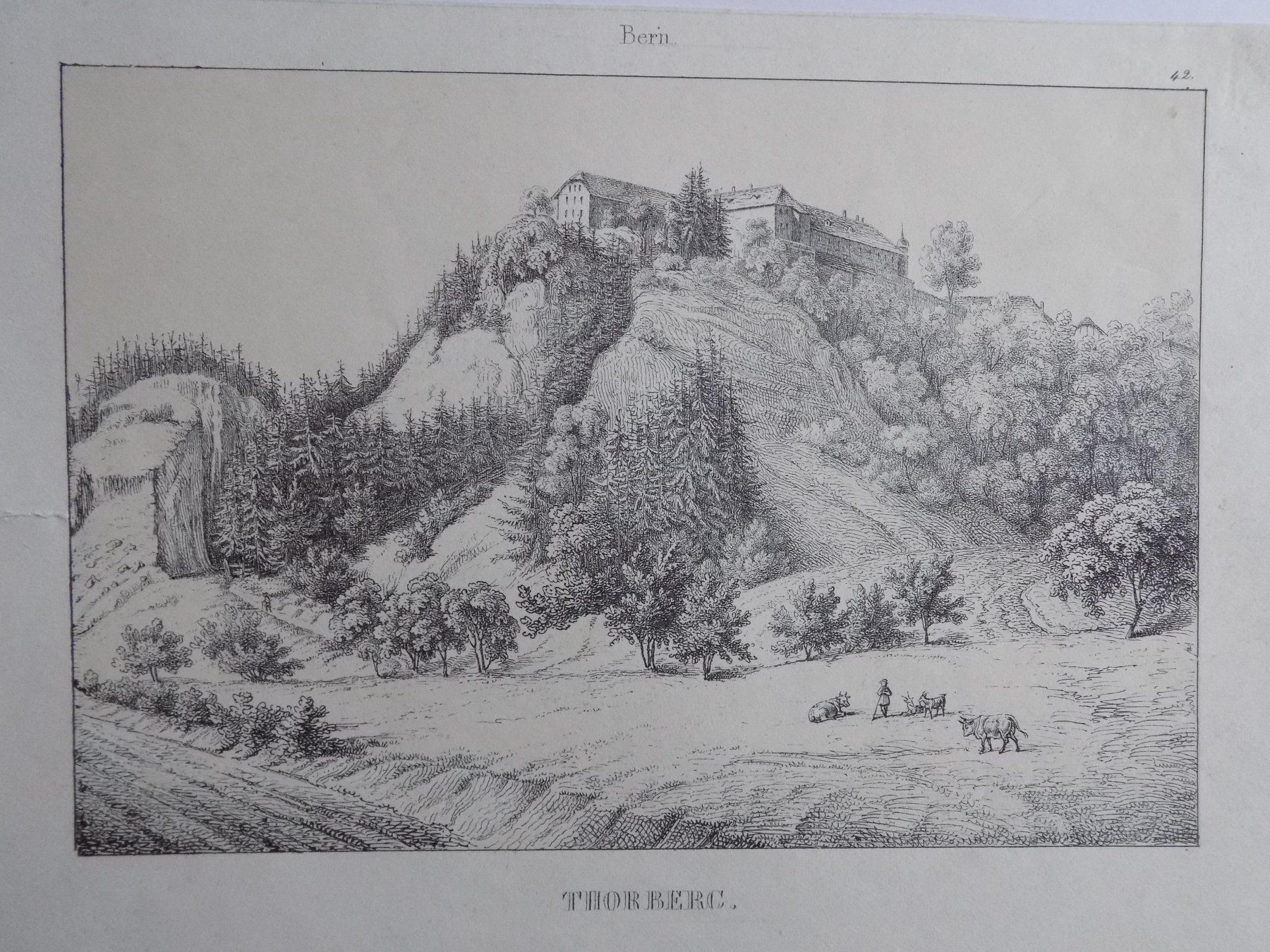 Incisioni: Thorberg Lithographie Wagner – Usato da Risch venduto da Antikfee 2