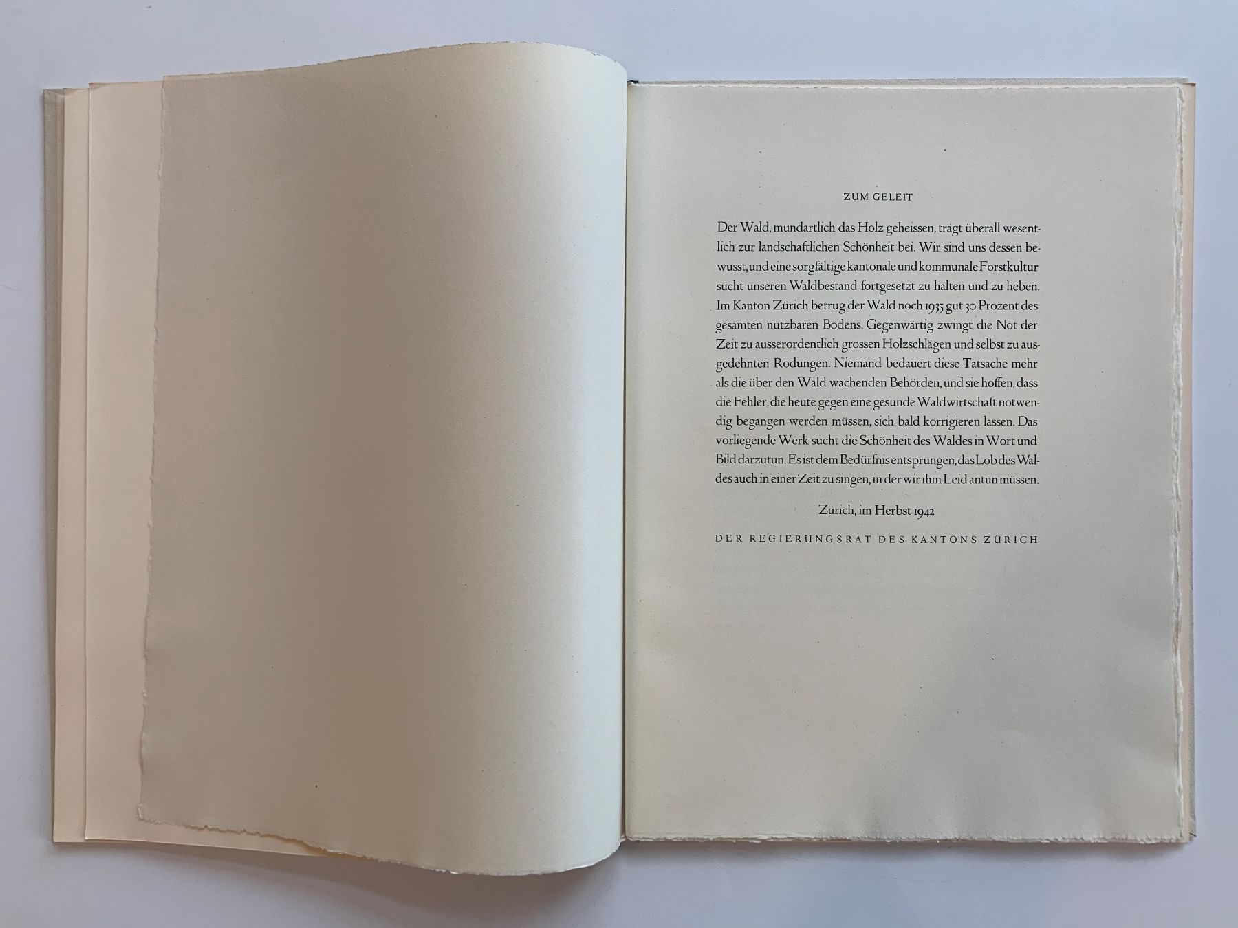Grafica & Litografie: Litographie - Wald und Baum von Carl Moos – Usato da Zürich venduto da ZuercherBrockenhaus 5