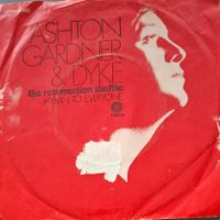 Vinyl-Single Ashton, Gardner & Dyke - The Resurrection Shuff