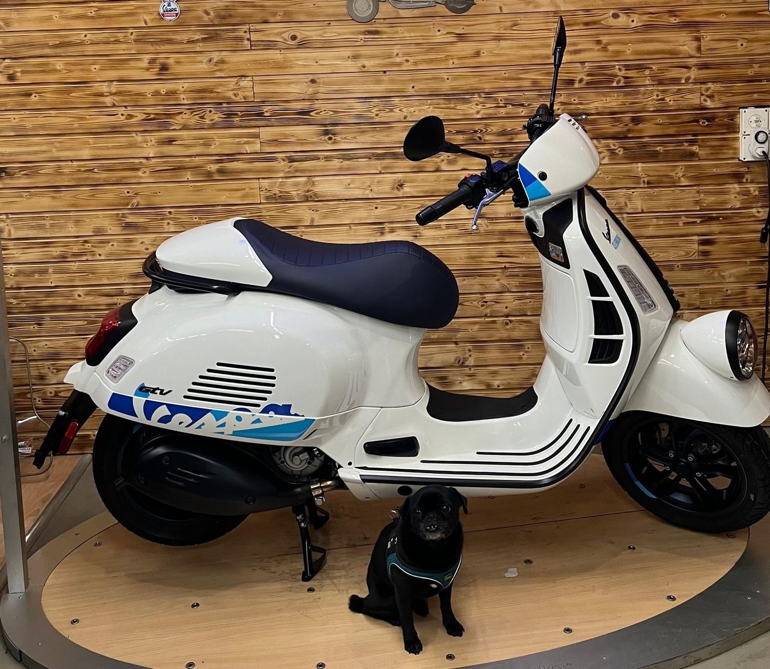 Piaggio Strada: Vespa GTV 300 E5 140th anniversary – Nuovo (secondo la descrizione) da Winterthur venduto da Imurnewald 1