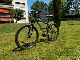 Cube Mountainbike Ltd Comp | Rahmen S | Grau/Silber