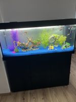 Aquarium Rio Juwel 240L LED