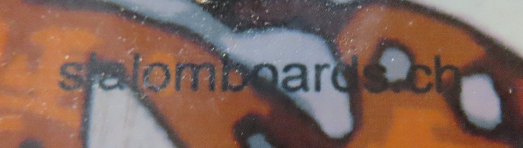 Skateboards: Pumpkin Longboard – Usato da Reinach BL venduto da WBZ-Flohmarkt 5