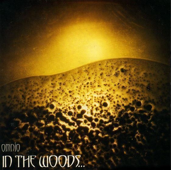 CD: In the woods - Omnio – Usato da St-Cergue venduto da VeganWarrior