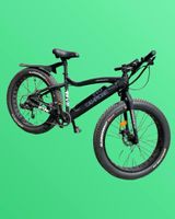 FAT BIKE (Elektro Bike)
