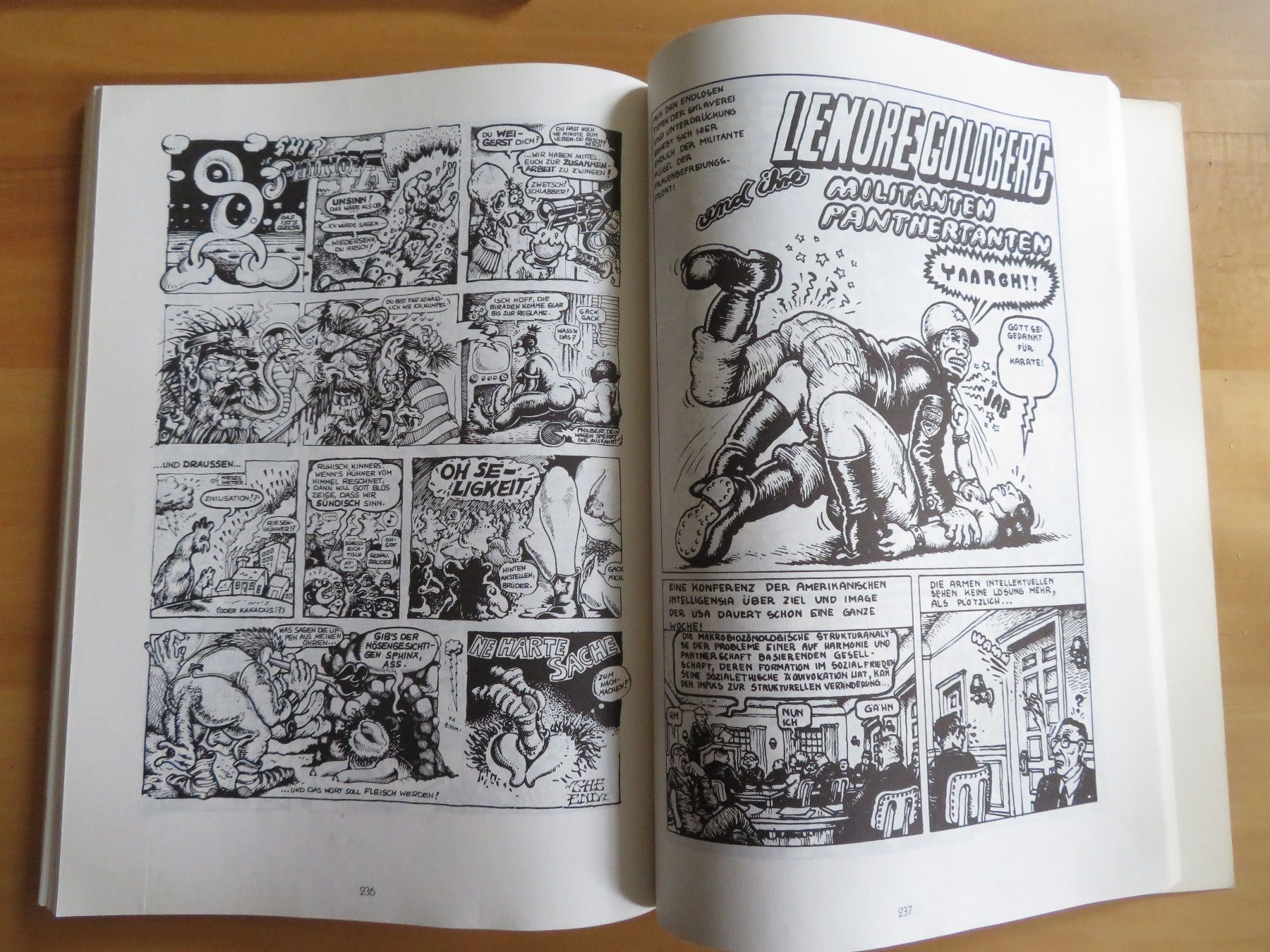 Comics: Melzers Comic Reader – Gebraucht aus Bern von mordswein 5