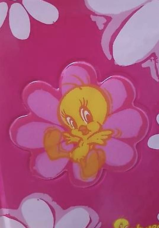 Bücher: NEU Schulagenda Tweety Mädchen – Neu und originalverpackt aus Uster von Mooreas