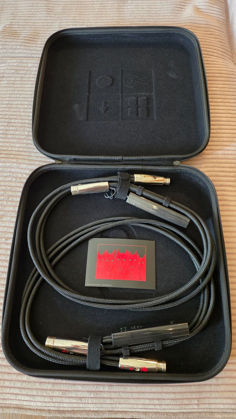 AudioQuest Cavi: Audioquest Dragon XLR -XLR 100cm – Usato da Ecublens VD venduto da mat_b9v9 1