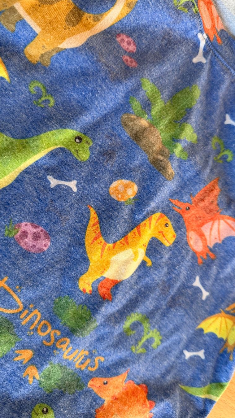 Pigiama & Simili: Pyjama - TEXSTAR Dinos blau Gr. 128 – Usato da Winterthur venduto da Secondhand-Family 2