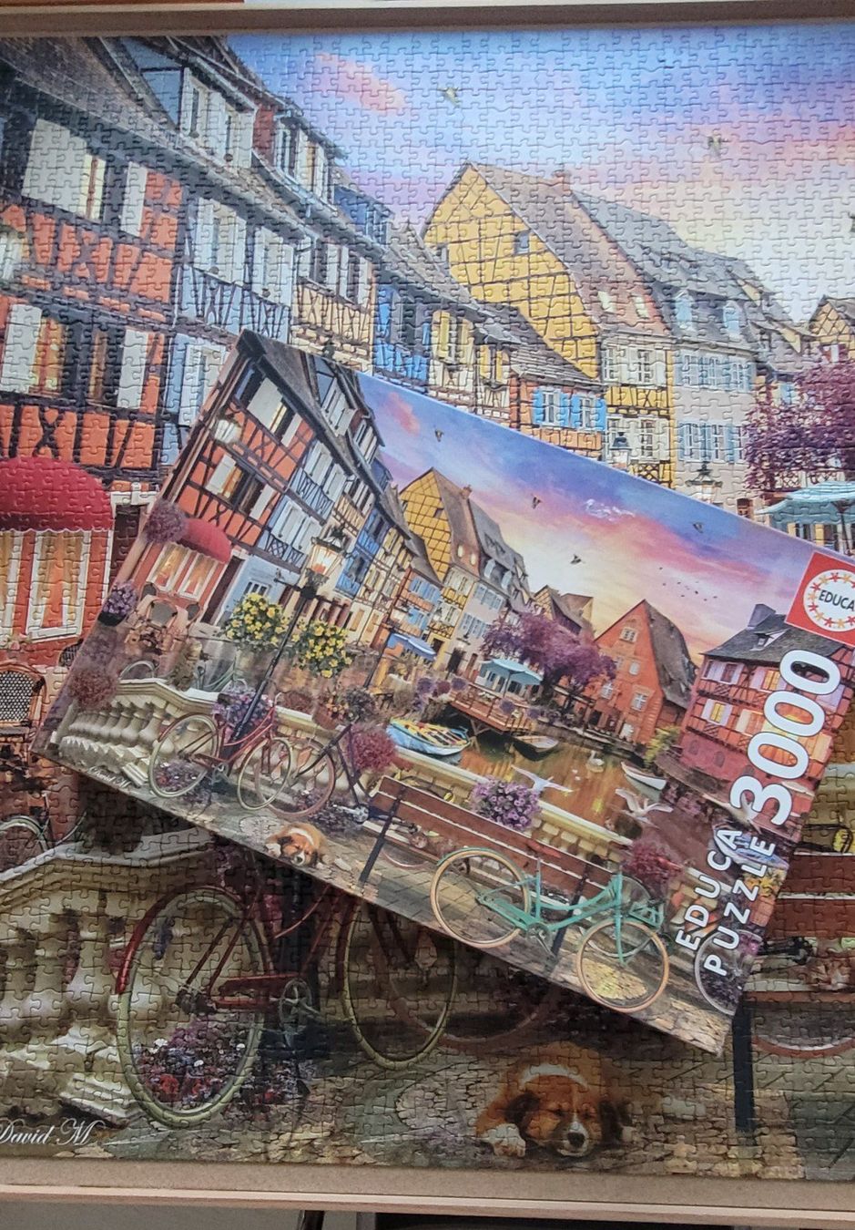 Educa Puzzle: Puzzle 3000 Teile – Usato da Gossau SG venduto da Urscmitt 1
