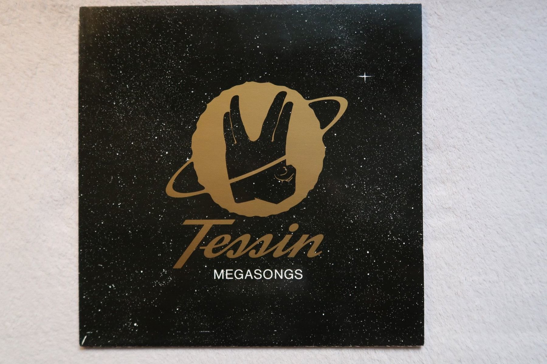 Dischi in vinile: Tessin - Megasongs vinyl LP – Usato da Effretikon venduto da ChrisLamberger