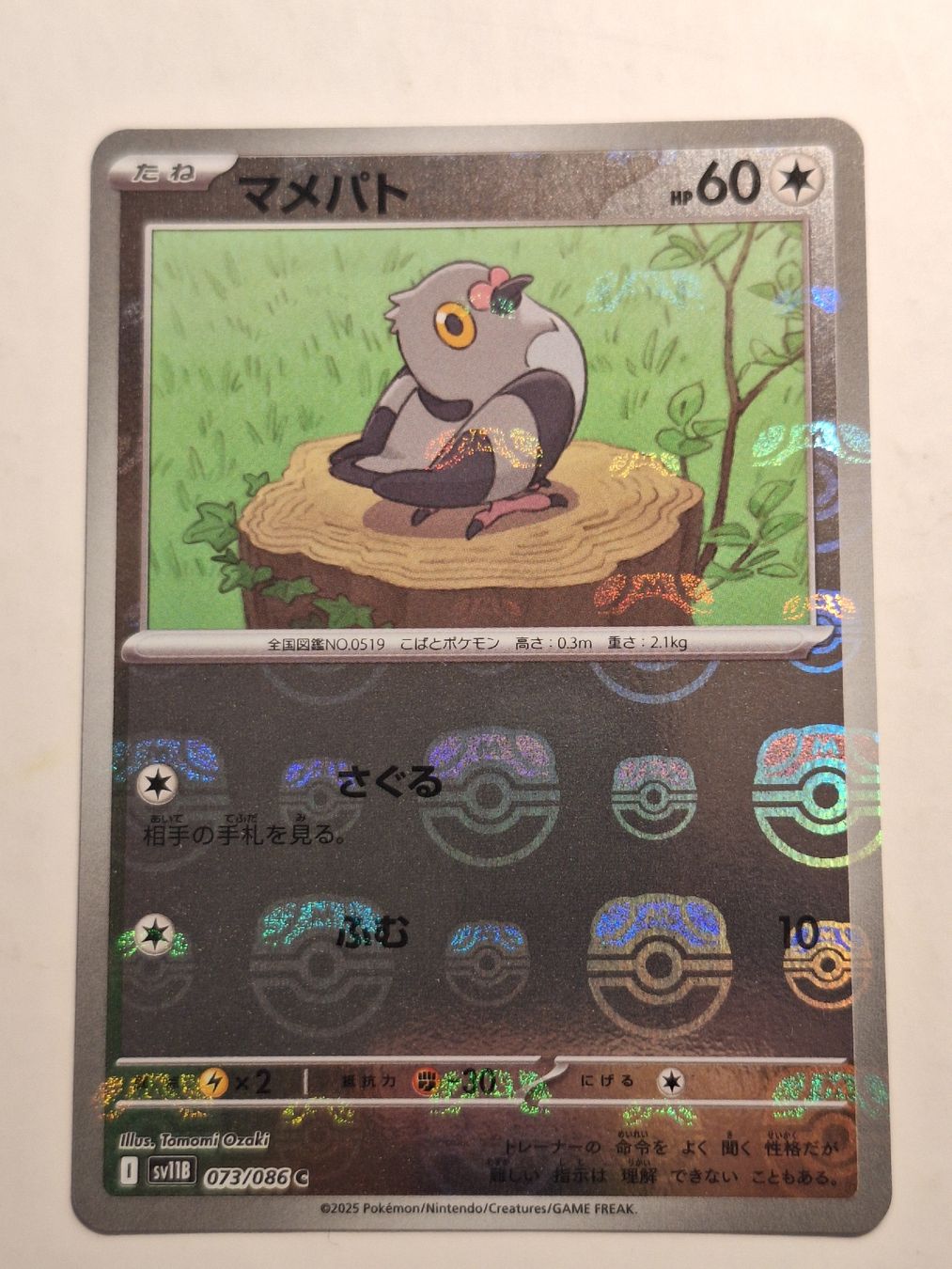 Pokémon Sammelbilder & Trading cards: Pidove - Masterball - sv11B #073/086c – Gebraucht aus Riva San Vitale von P.butti
