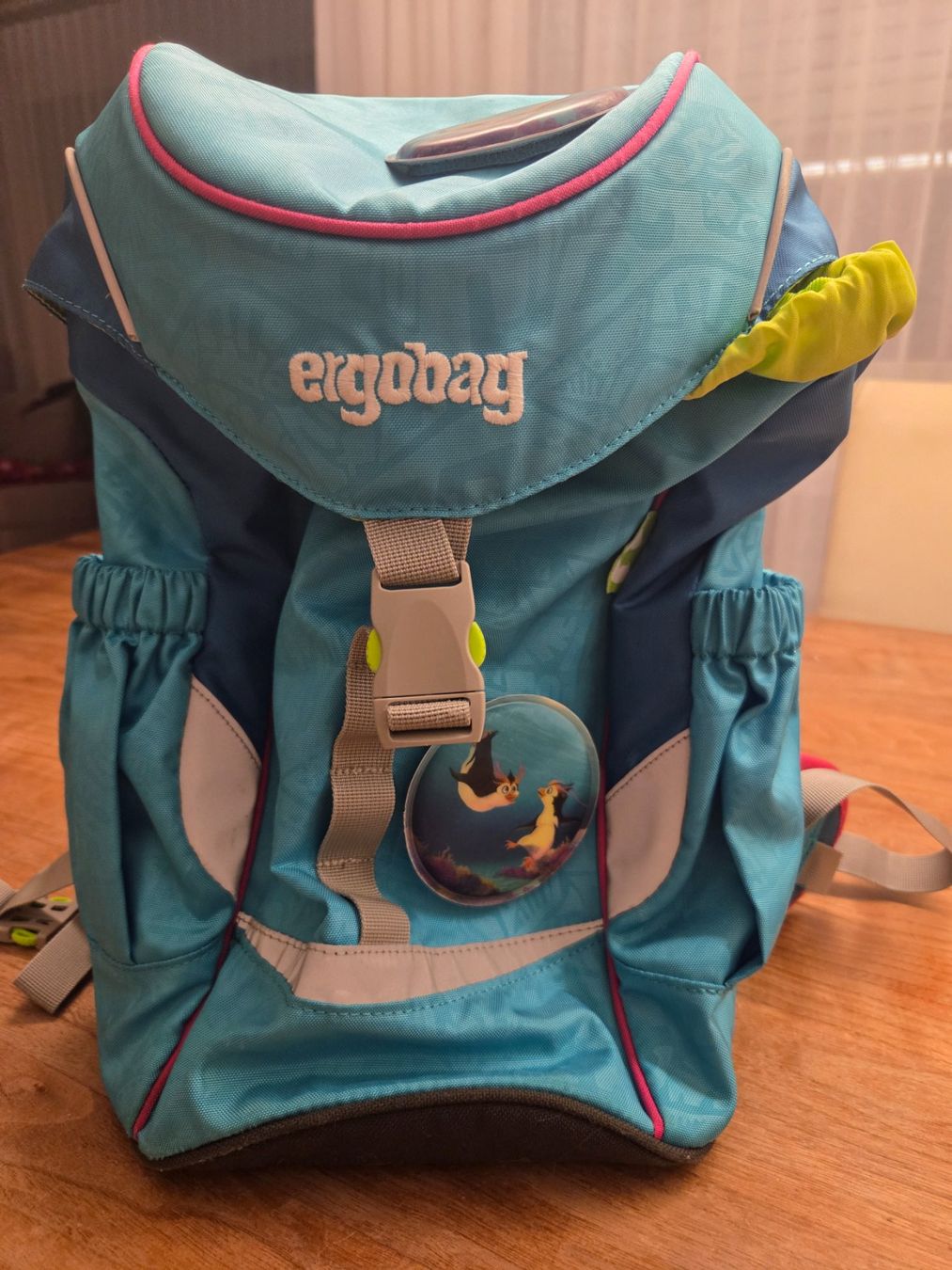Ergobag Borse & Zaini: Ergobag Rucksack mit Schildkröte, Top Zustand! – Usato da beromünster venduto da marsa123