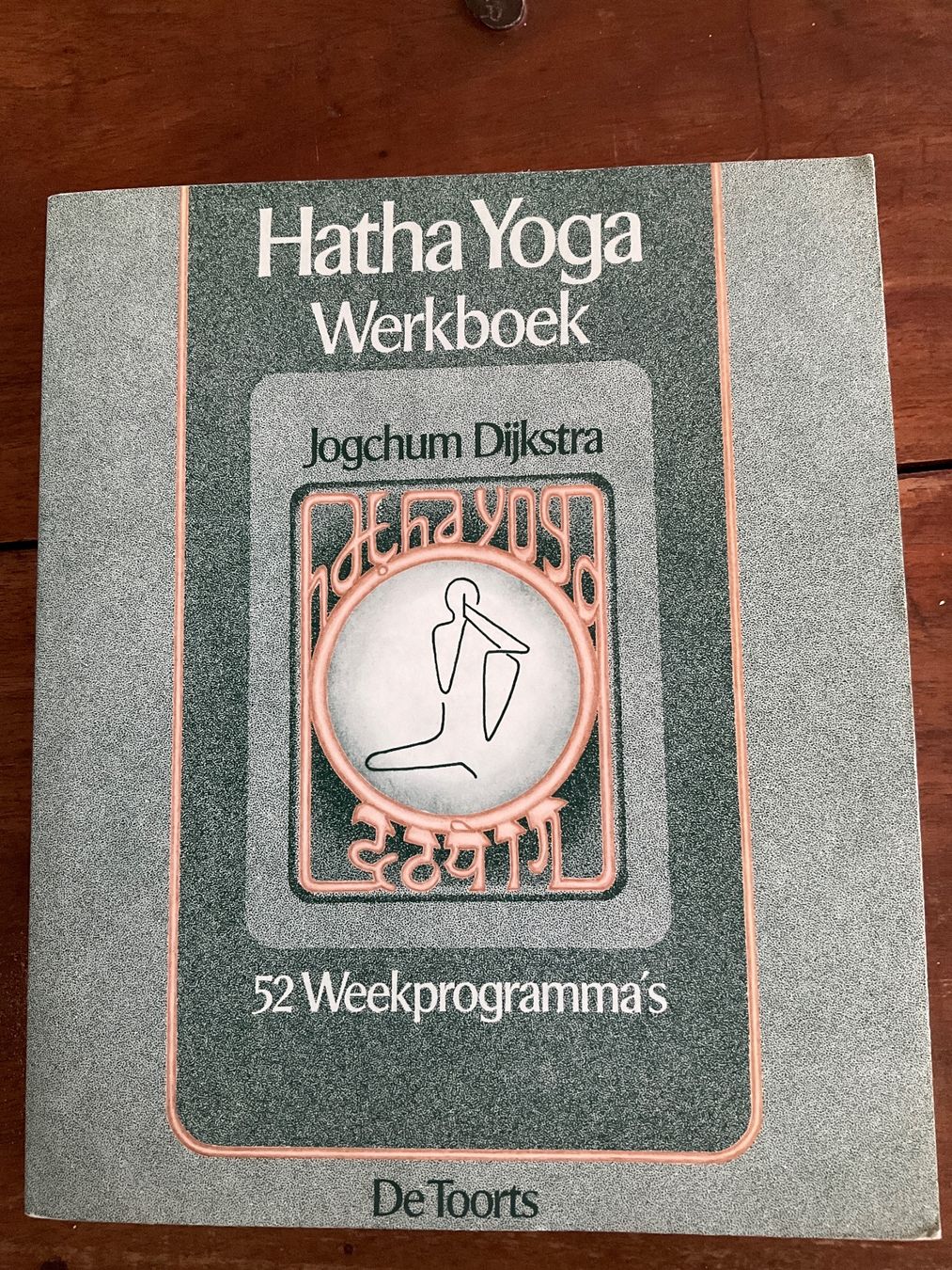 Bücher: Hatha yoga werkboek: 52 weekprogrammas's – Gebraucht aus Avenches von Lactobacille