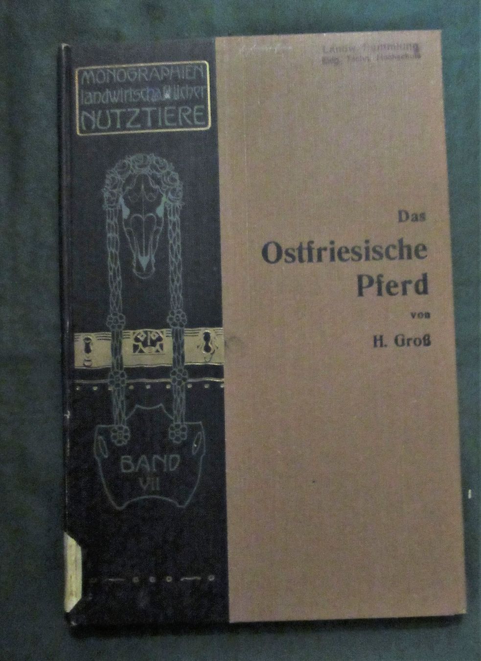 Libri: * Pferde  Pferdezucht   Ostfriesen  Reiten – Usato da hedingen venduto da kurattli01