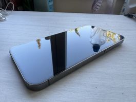 iPhone 12 Pro Max 256 GB - Guter Zustand