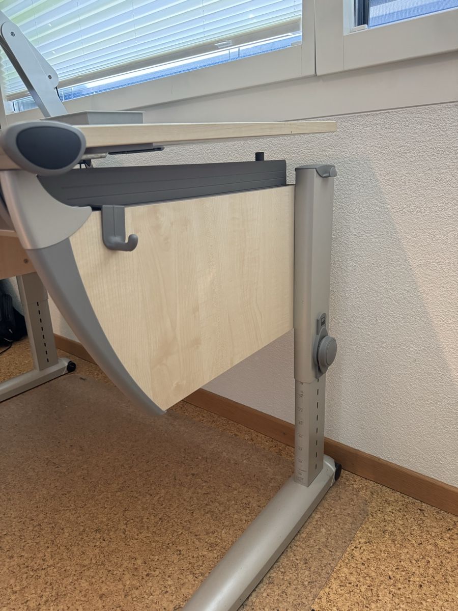 Moll Scrivanie: moll Schreibtisch Runner Compact + Mobilight Lampe – Usato da Grabs venduto da luc_8pw7 1
