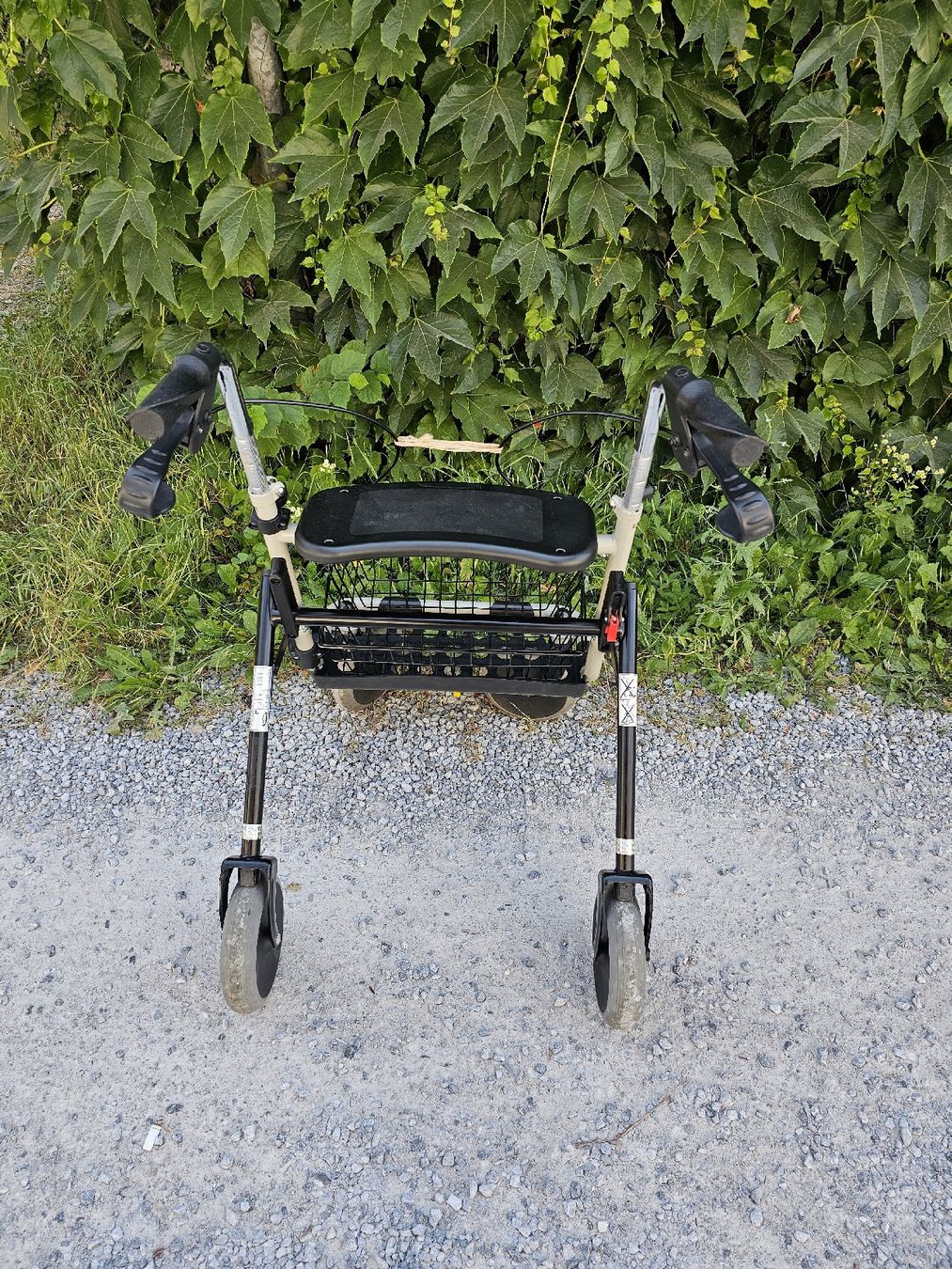 Ausili per la deambulazione: Rollator  – Usato da Meisterschwanden venduto da Hummer21 2