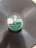 GRAMMOPHON PLATTE 20CM WEIN WEIB UND GESANG