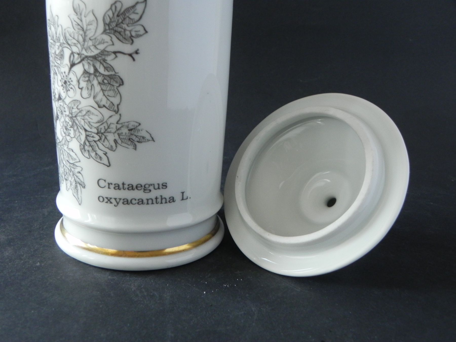 Tutte le decorazioni: Langenthal Dose mit Deckel - Sujet Crataegus oxyacantha L. – Nuovo (secondo la descrizione) da Zürich venduto da LodgE-21 2