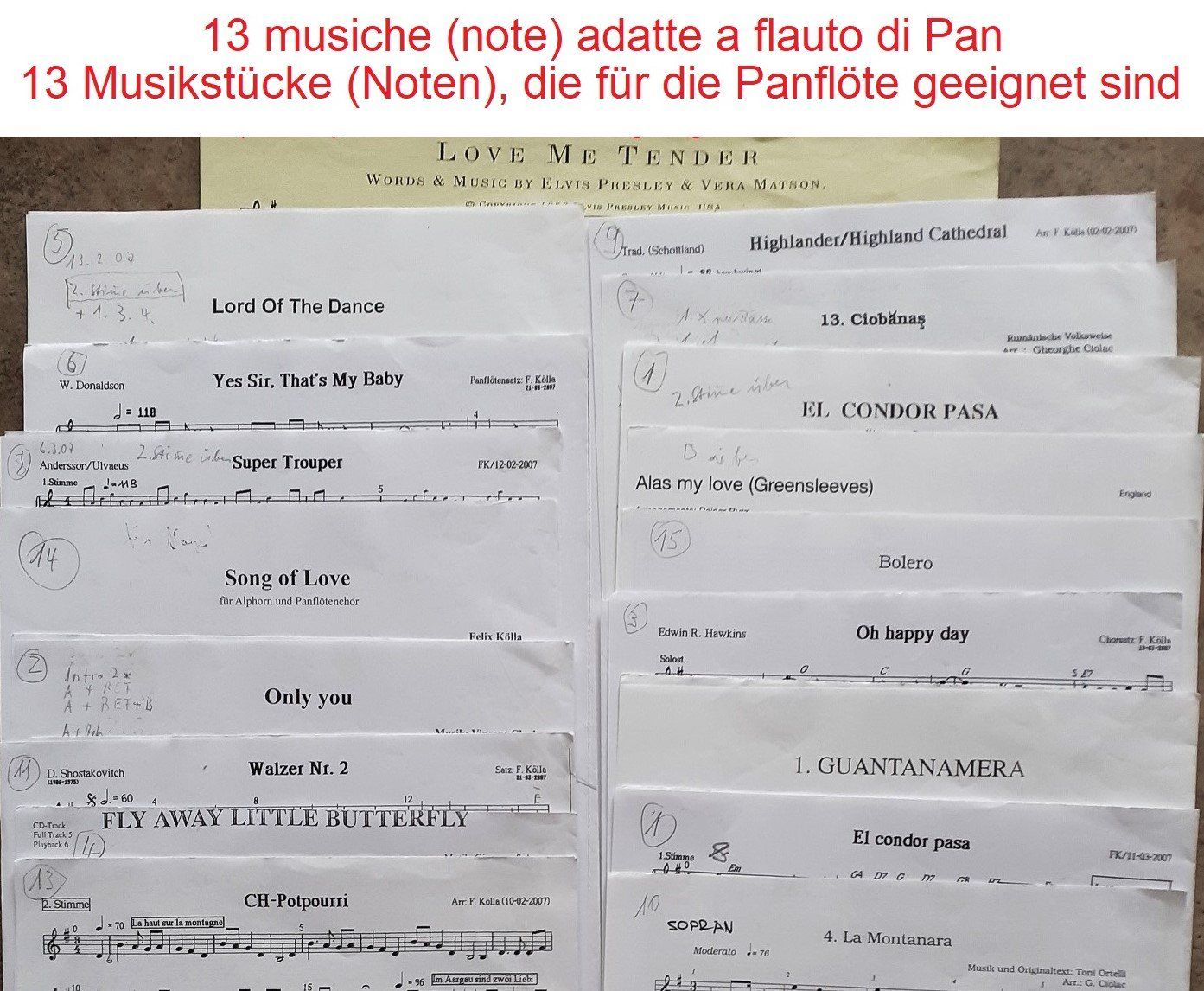 Strumenti musicali: Panflöte 7 div. Libri e musiche per panflöte – Usato da Locarno venduto da Antonio41 1