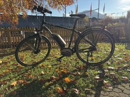 Occasion E-Bike Morrison, Top Zustand