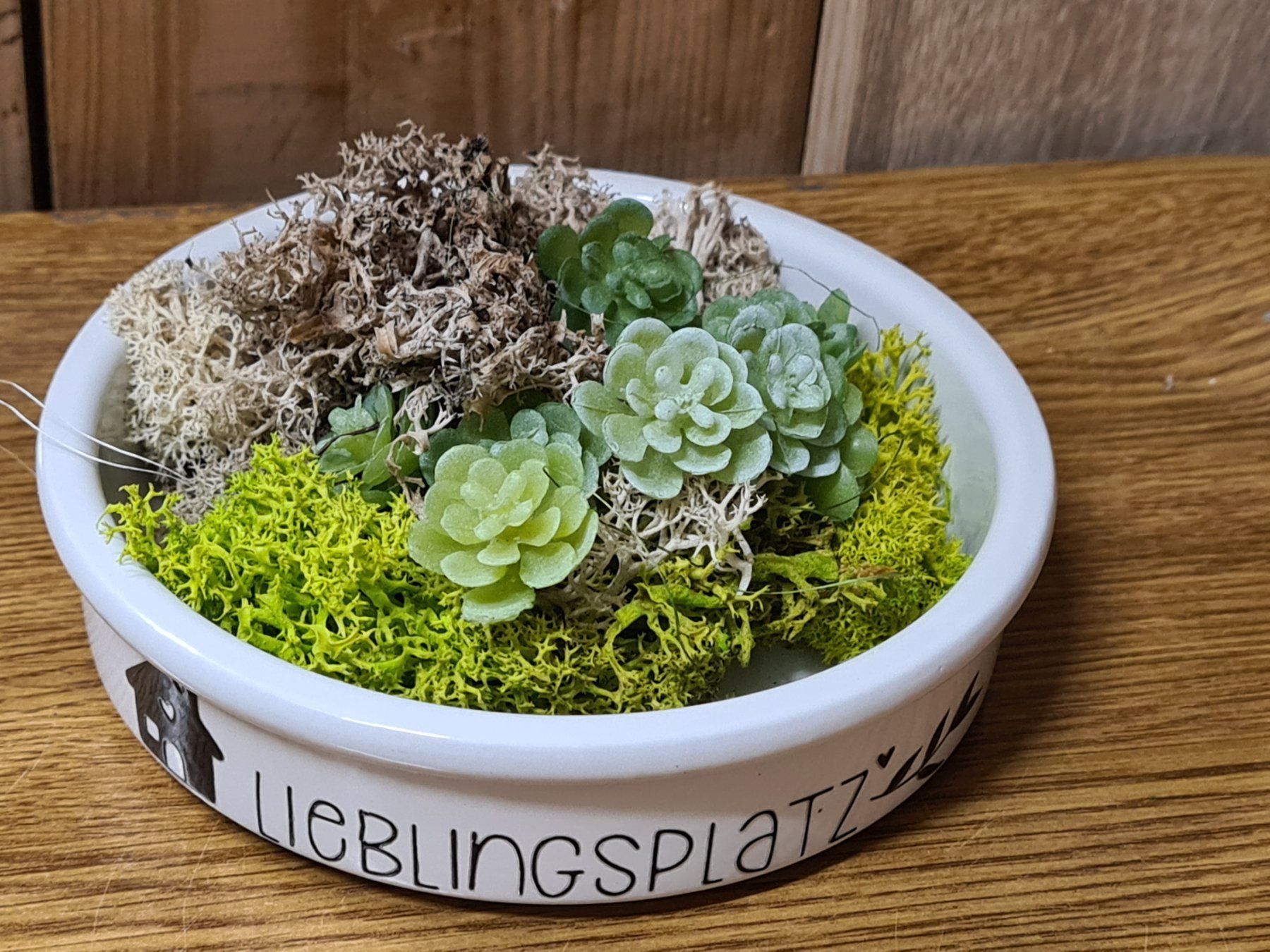 Blumentöpfe: Sukkulente  Blumenschale mit Spruch ca 12 x 3 cm – Neu und originalverpackt aus Amriswil von kleindeko 1