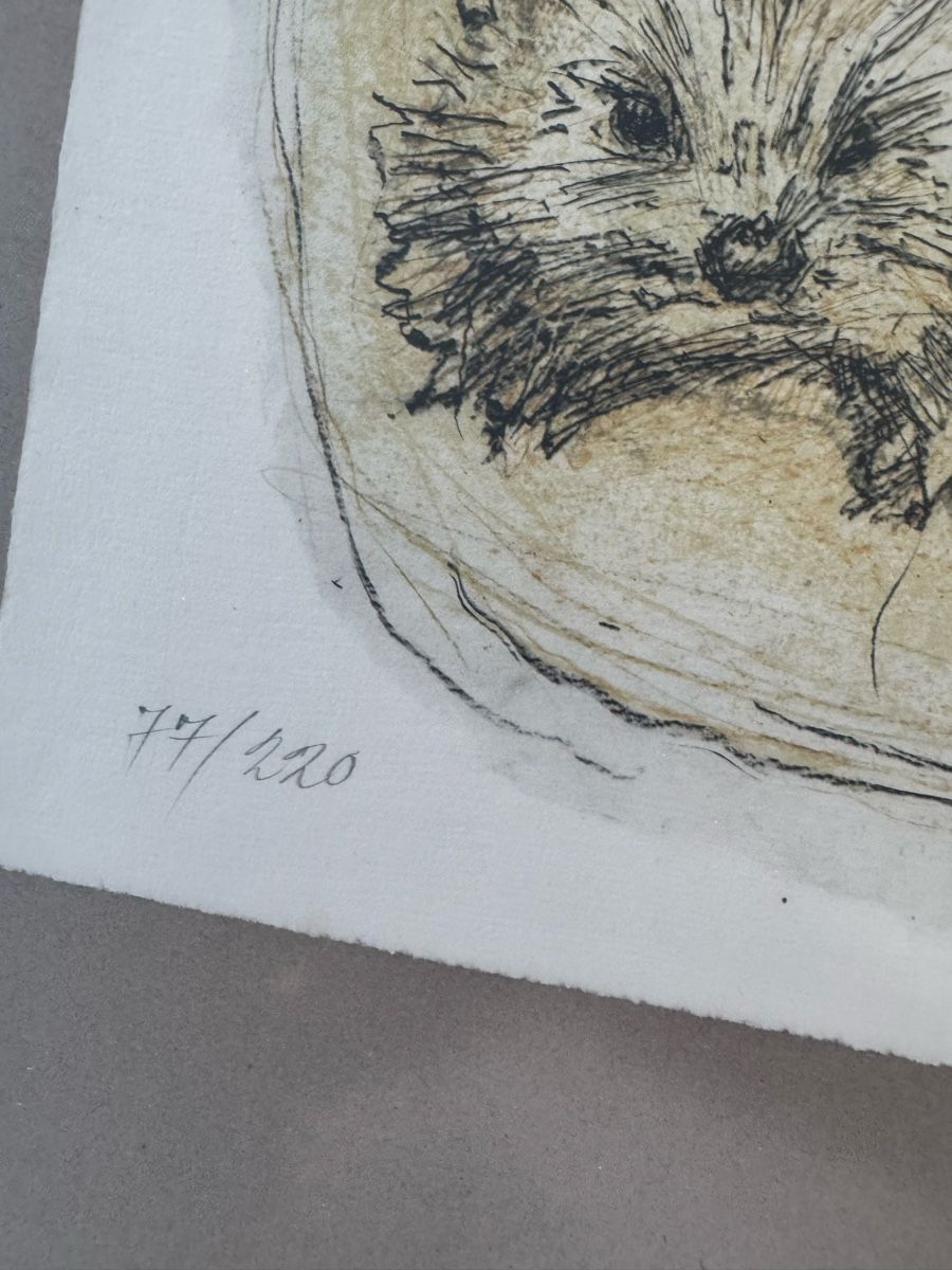 Grafica & Litografie: Fritz Hug Lithogaphie, Igelfamilie – Usato da Safenwil venduto da Corahund 4