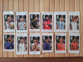 Coca Cola Panini Fussball Sticker FIFA 2026 -alle 12 Sticker