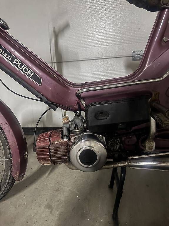 Puch Mofas: Puch Maxi S – Gebraucht aus Diepoldsau von fed_wvn6 2