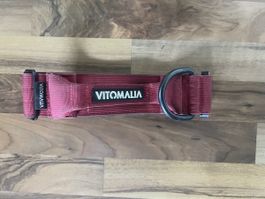 Vitomalia Hundehalsband XXL 5cm breit mit rund Leine