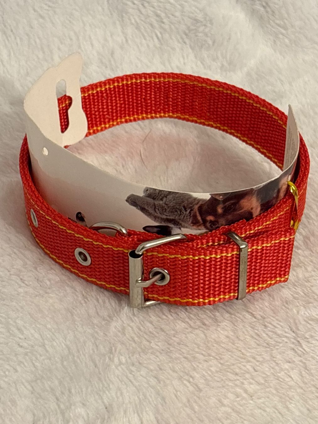 Guinzagli & Collari: Neues, rotes Hundehalsband, Grösse M – Nuovo e nell'imballaggio originale da Oberegg venduto da MR-shop 1