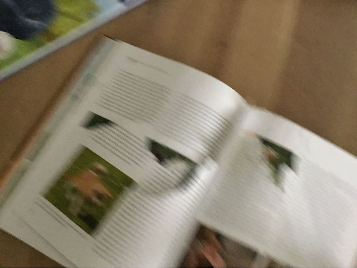 Bücher: Welpentraining mit Martin Rütter – Gebraucht aus Triesen von Trisuna 4