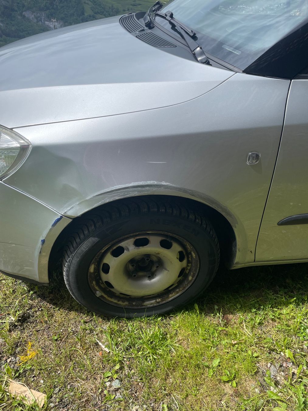 Skoda Automobili: Skoda Fabia 1,9TDI – Usato da Camuns venduto da ray_q6hb 6