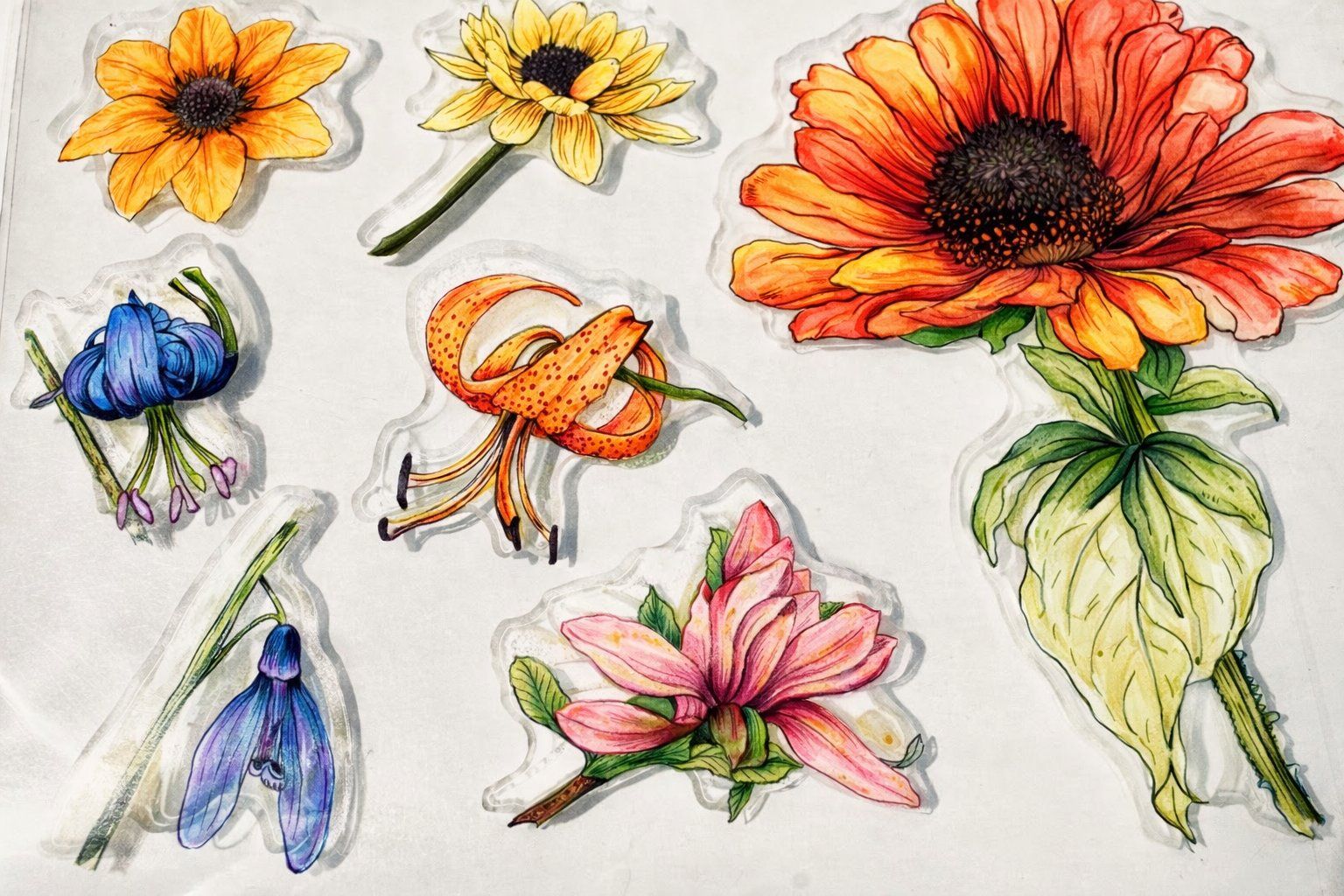 Timbri: Neues Set Motivstempel Blumen – Nuovo e nell'imballaggio originale da Effretikon venduto da wenuss